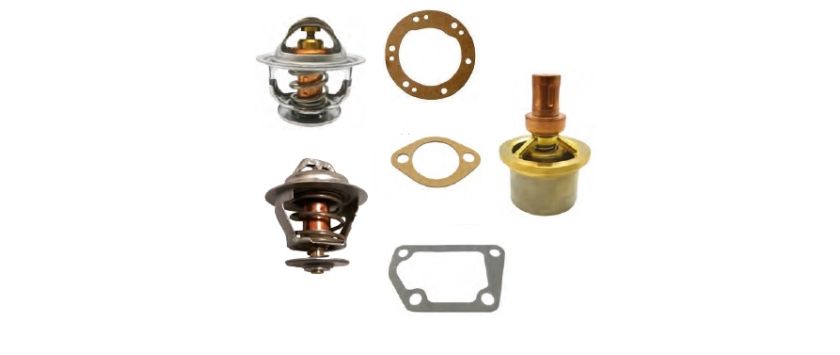 Yanmar Thermostate & Dichtungen