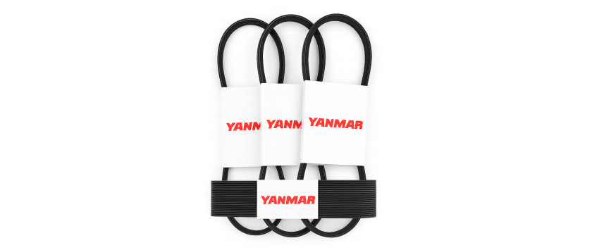 Yanmar Riemen