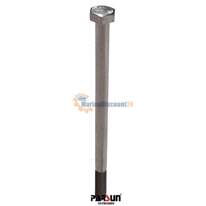 Zeskantbout M6X100