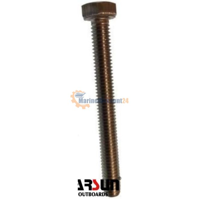 Vite M6X55