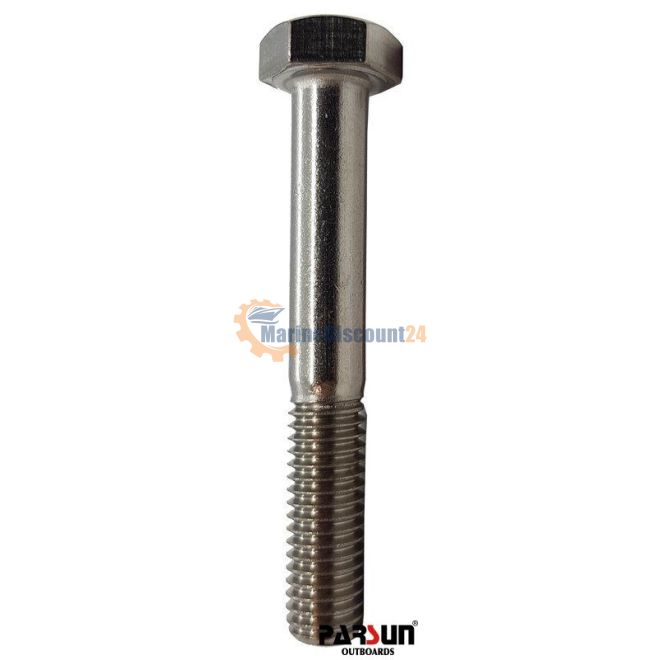 Zeskantbout M8X55