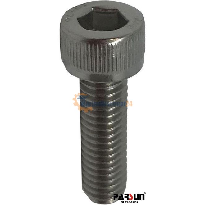 Vite M6X20