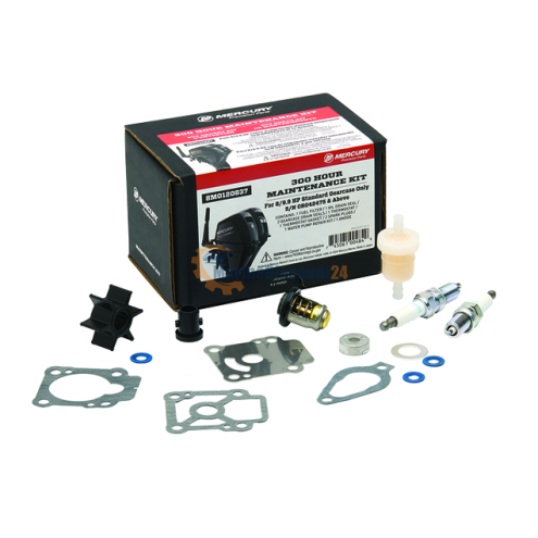 300-Hour Service Kit – 8 / 9.9 HP EFI (Standard-Getriebe) 8M0120837