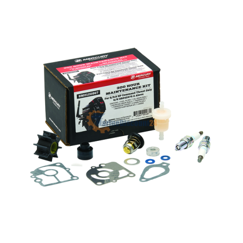300-Hour Service Kit – 8 / 9.9 HP EFI (Command Thrust) 8M0120867