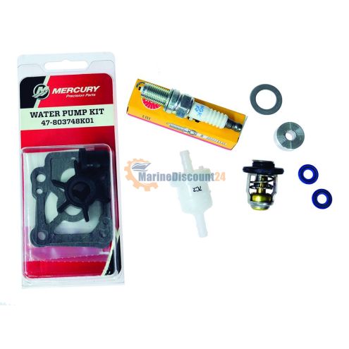 300-Hour Service Kit – 8 / 9.9 HP EFI (Standard-Getriebe) 8M0120837
