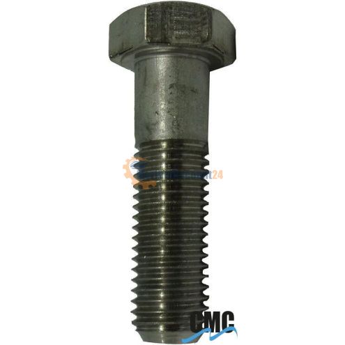 Screw 6016