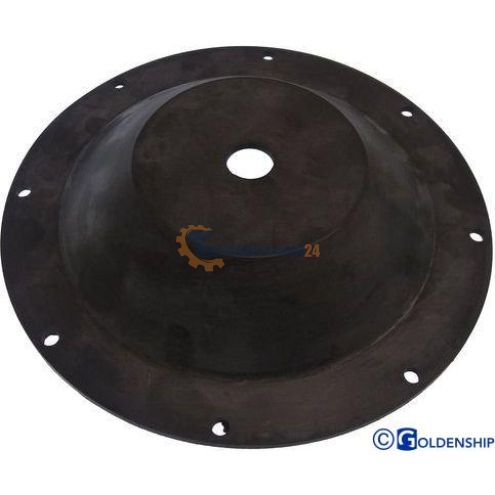 Membraan voor Gs20031/Gs20032