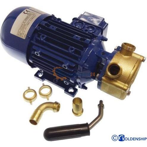 Electric pump 12 25 L/min