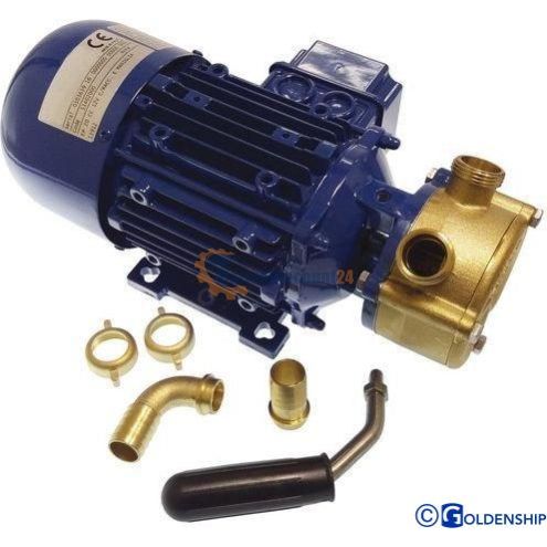 Electric pump 24 25 L/min