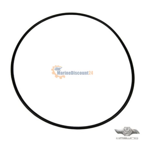 Joint torique pour support de palier de rotor 24000753