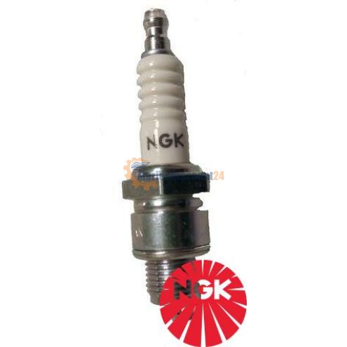 Candela Ngk 6HS