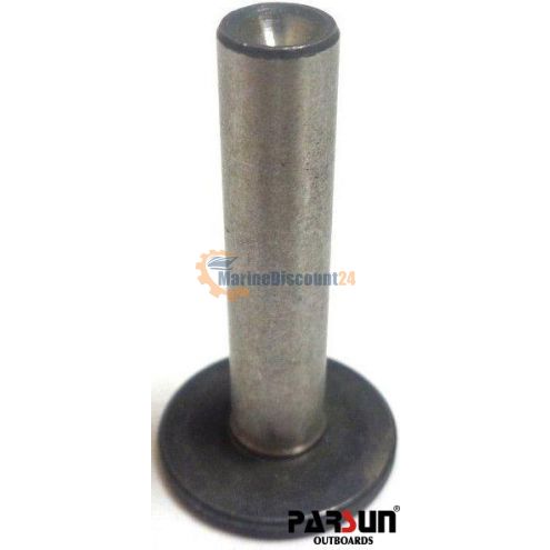 Sollevatore, valvola Parsun 166F-000001