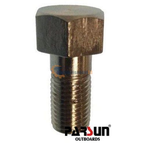 Vite manubrio Parsun E4-07010002W