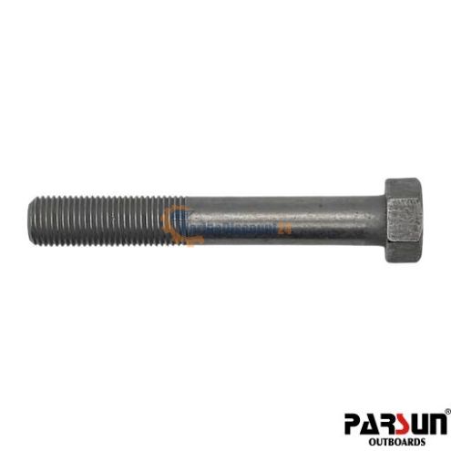 Vis M12X1,25X80