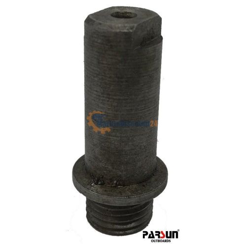 Überschwemmungsventil-Baugruppe Parsun F15-07110000