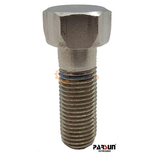 Vite Parsun F15-11020002W
