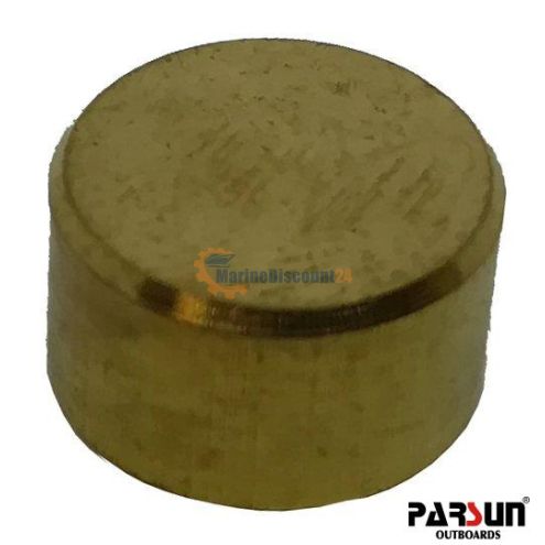 Polea Parsun F15-13000004W