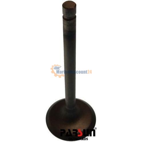 Válvula de admisión Parsun F20-05030001