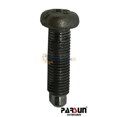 Vite Parsun 25-05070010