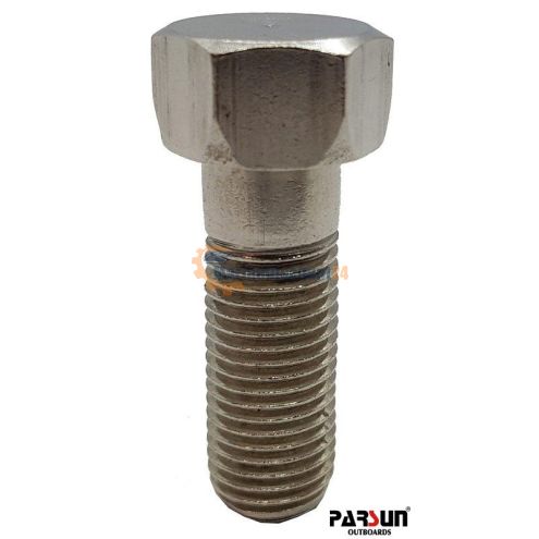 Vite Parsun 25-07000302W
