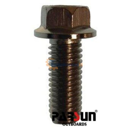 Bolt for oil outlet M8X20