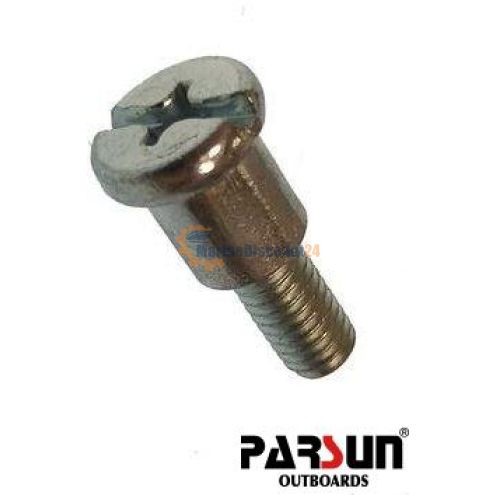 Vite, avviamento Parsun 4-04130008