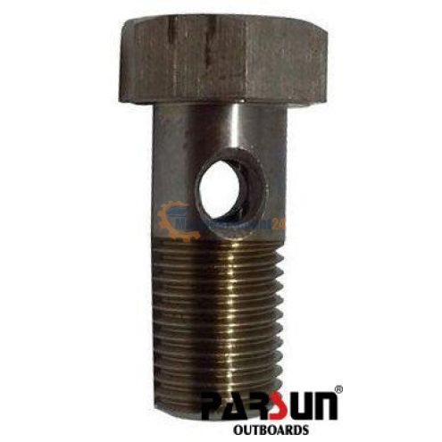 Vis, adaptateur Parsun 40-05000046Ei