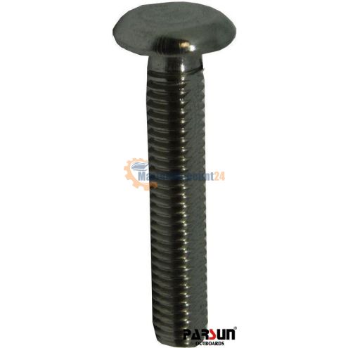 Vis plate Parsun 40-06000007