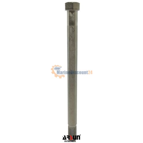 Vis, absorbeur Parsun F60-00000001