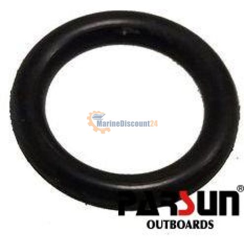 O-ring P9