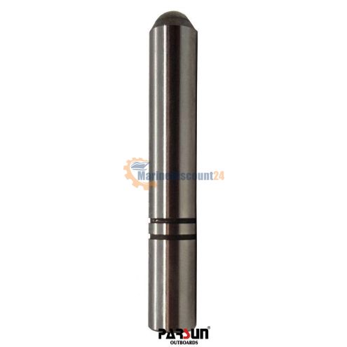 Pistone, cambio Parsun T40-04050006