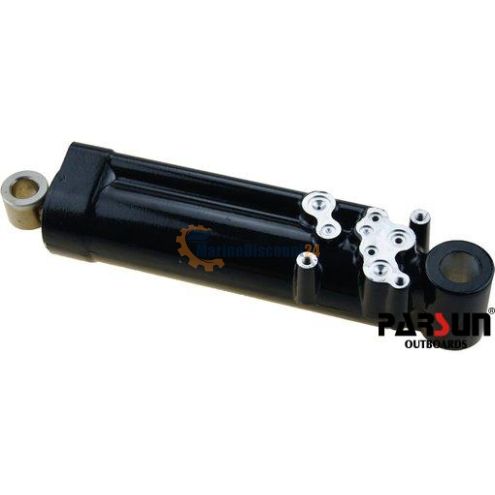 Positioneringscilinder-assemblage Parsun T40-10010000