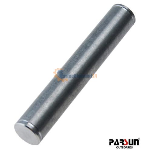 Upper shock absorber mounting pin 60-01010006