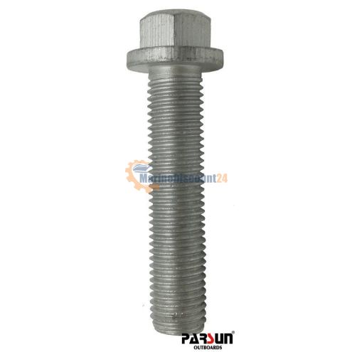 Schroef M10X1,25X45