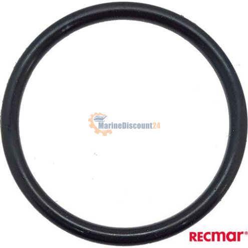 Anode O-Ring 09280-22019