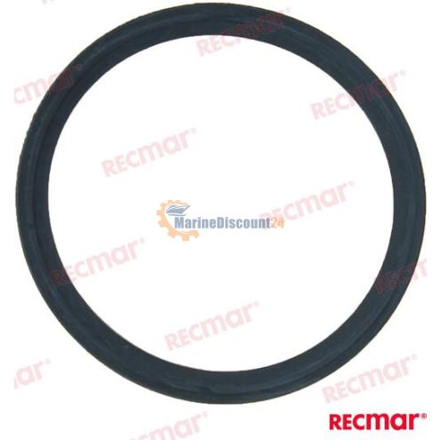 Thermostat gasket Yanmar 119578-49110