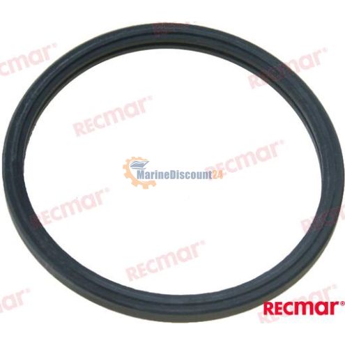 Thermostat seal Yanmar 119773-49570