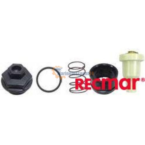 Thermostat kit 13290
