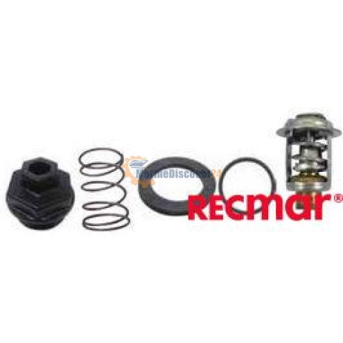 Thermostat kit 13310