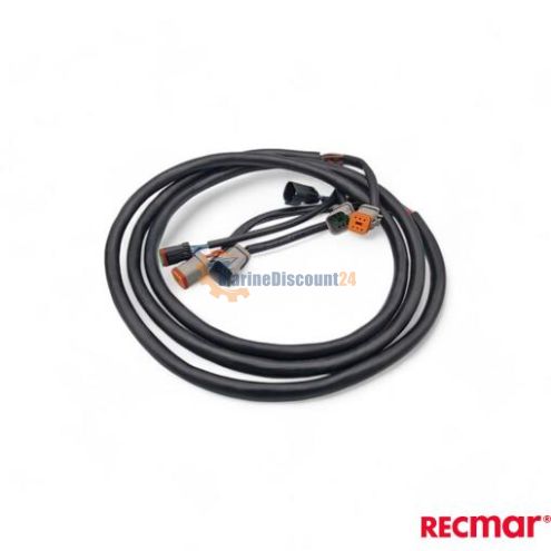 Tuyau d`extension 10 Ft (3 m)