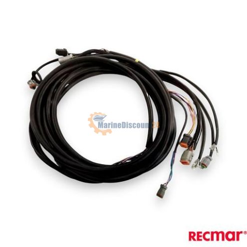 Mazo de cables 12 Ft