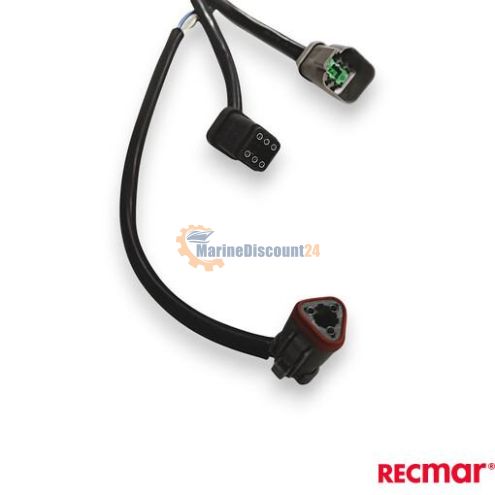Mazo de cables 12 Ft