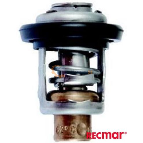 Thermostat 19300-881-761