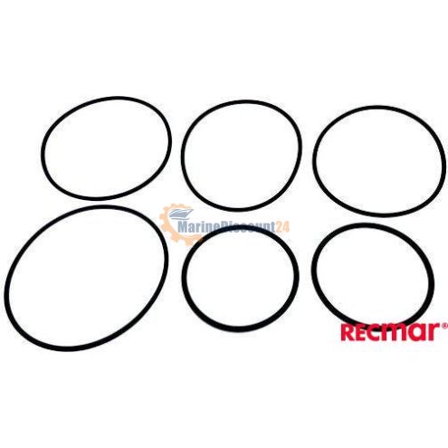 Set guarnizioni 22154