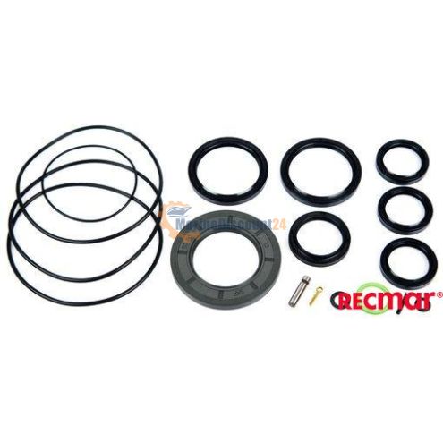 Set guarnizioni Unità completa Unità inferiore Dph-D 23027