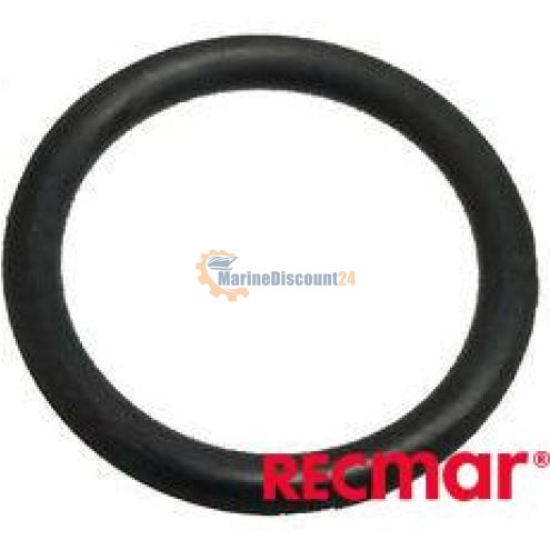 O-ring 304174