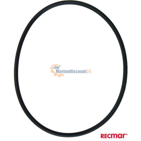 O-ring 305123