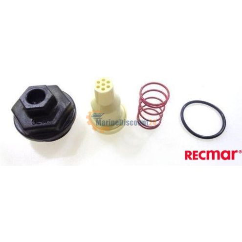 Thermostat kit Omc 435597