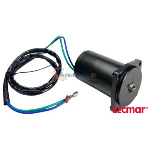 Trim motor E-Tec 5006319