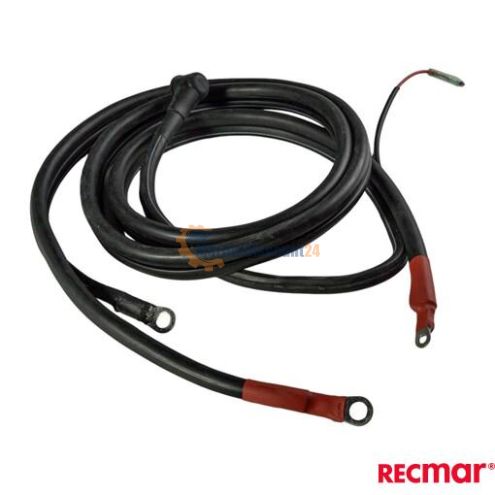 Cable de batería 2,5 m